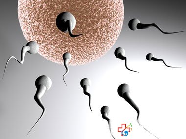 男性射精快是早泄嗎？