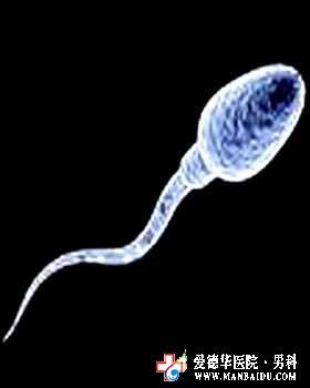 精子少“爸業”機會也渺茫