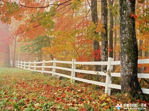 天氣轉涼,小心前列腺炎來犯