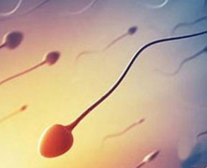 血精癥有哪些臨床表現(xiàn) 血精癥有哪些臨床表現(xiàn)