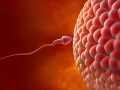 怎么樣治男性無精