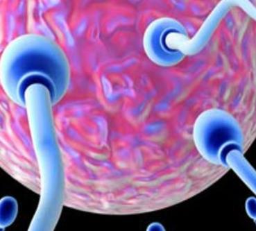 男性患上弱精癥怎么辦？