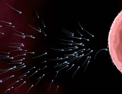 重度弱精癥的治療方法哪種好呢？